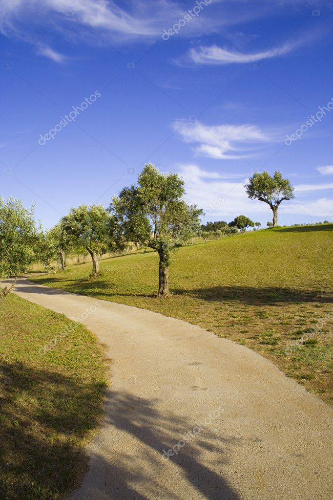 Paisajes con arboles fotos de stock, imágenes de Paisajes con arboles sin  royalties | Depositphotos