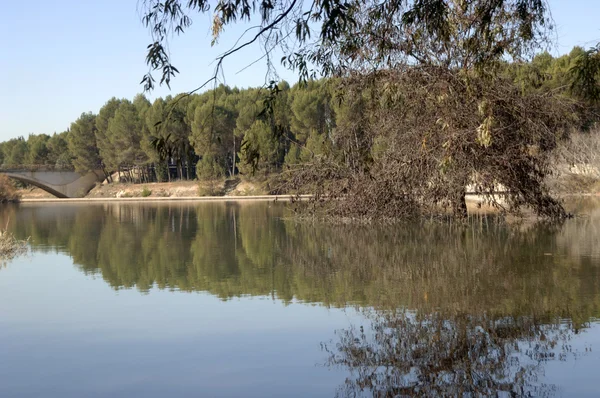 Pantano del Cubillas