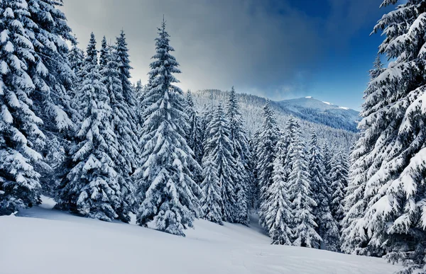 stock image Winter mounatin