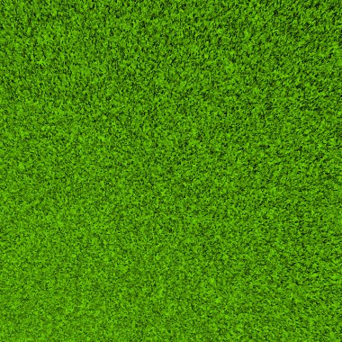 Güzel yeşil çimen dokusu