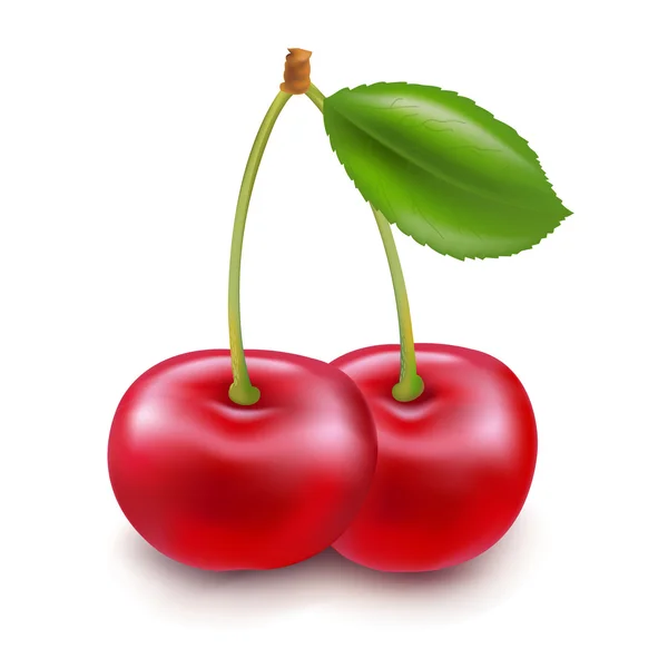 Červené cherry — Stockový vektor