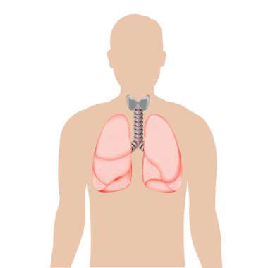 Silhouette Of Person With Lungs clipart