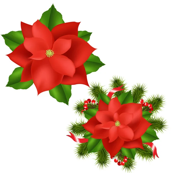 stock vector Poinsettia