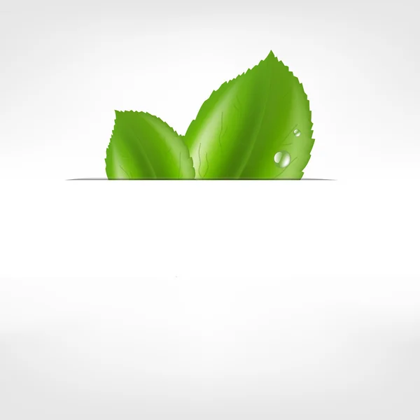 Feuille écologique — Image vectorielle