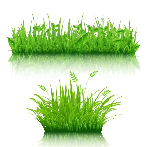 Conjunto de hierba — Vector de stock