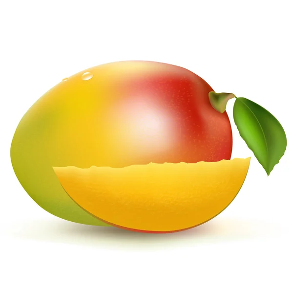 Čerstvé mango — Stockový vektor