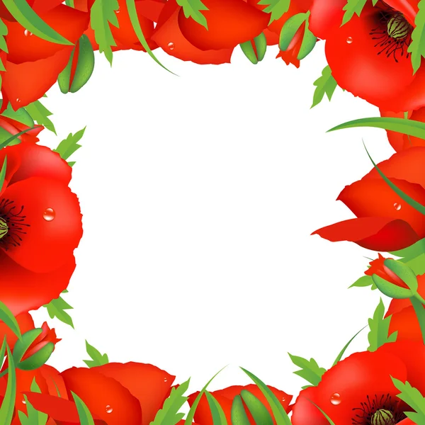 Red Poppy Frame — Stock Vector