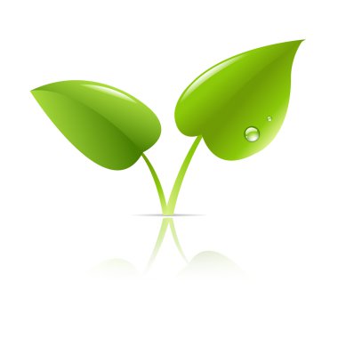 Green Leaf clipart