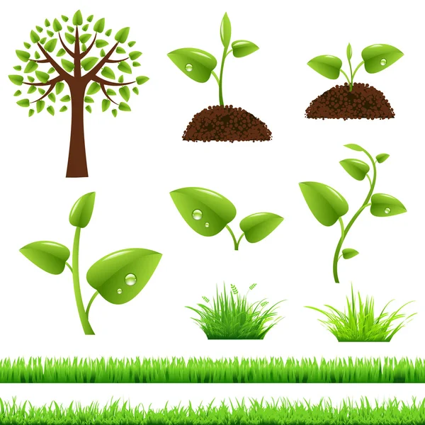 Zelené trávy a listí sada — Stockový vektor