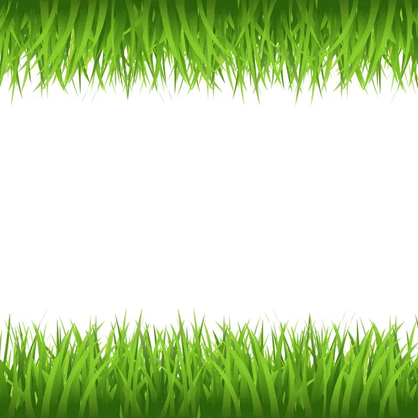 Bordo d'erba — Vettoriale Stock