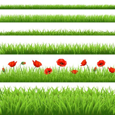 Green Grass Set With Red Poppy clipart