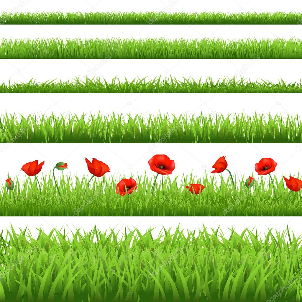 Green Grass Set With Red Poppy