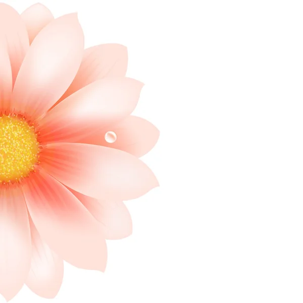 粉红色的花 — 图库矢量图片