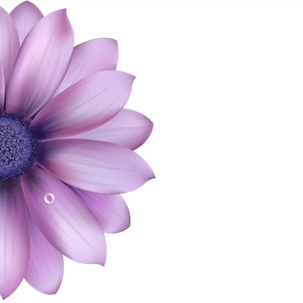 Flor lilás — Vetor de Stock