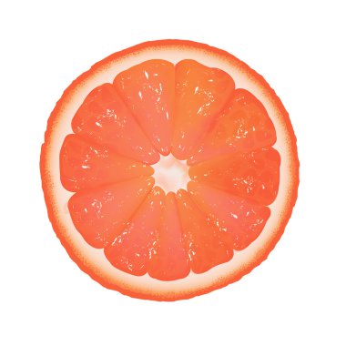 segmento de pomelo