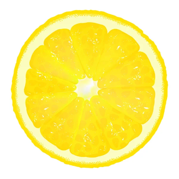 Segmento de limão com suco — Vetor de Stock