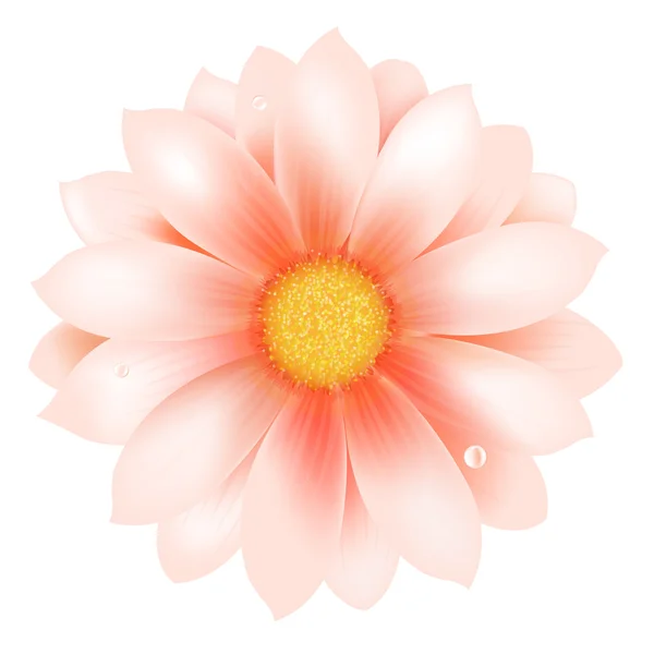 Fleur rose avec goutte d'eau — Image vectorielle