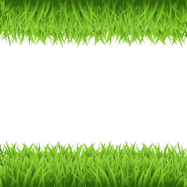 Green Grass Frame — Stock Vector