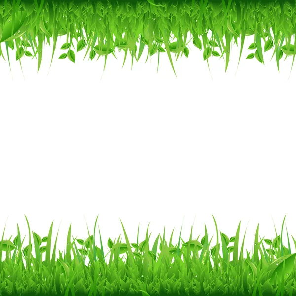 Grasgrenzen — Stockvektor