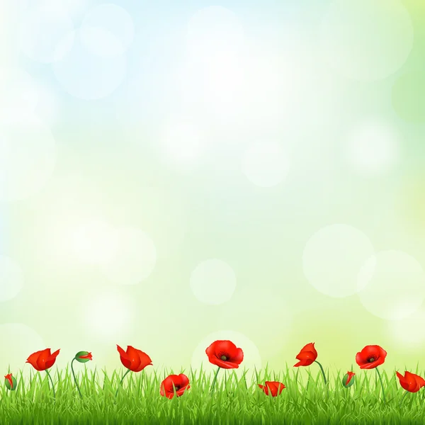 Frontière de pavot rouge et d'herbe — Image vectorielle