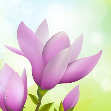 Magnolia Flower clipart