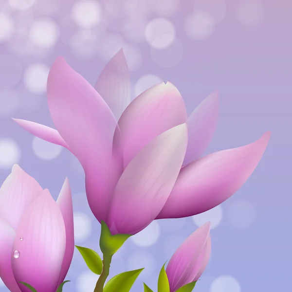 带水滴的木兰花 — 图库矢量图片
