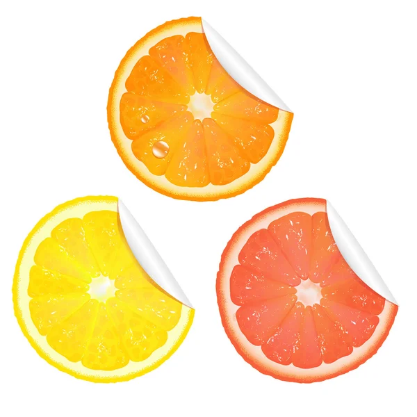 Citrus Stickers — Stock Vector