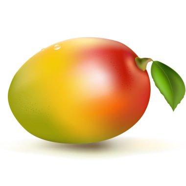 Fresh Mango clipart