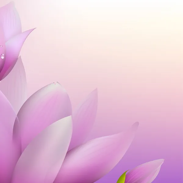Świeże magnolia — Wektor stockowy