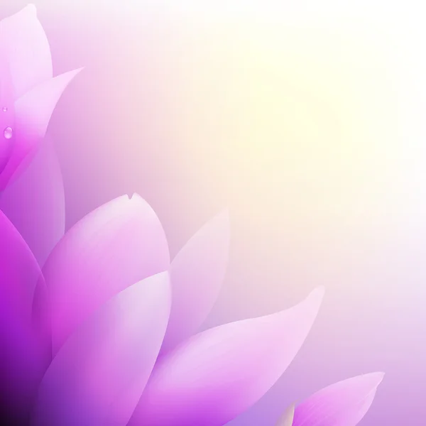 Ροζ magnolia — Διανυσματικό Αρχείο