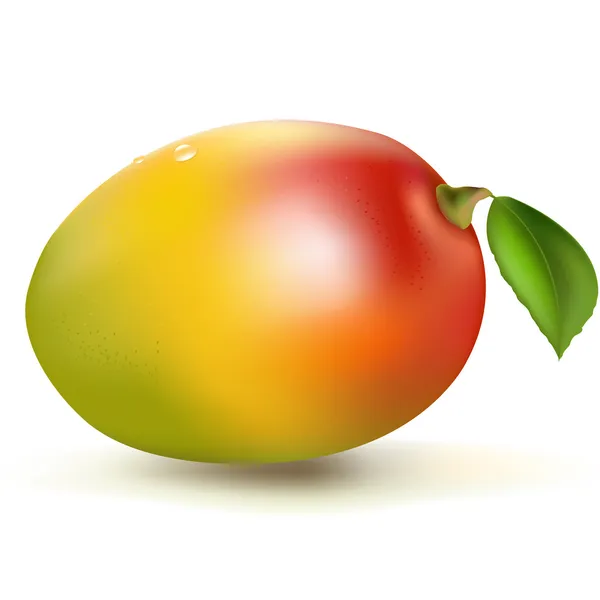 Frische Mango — Stockvektor