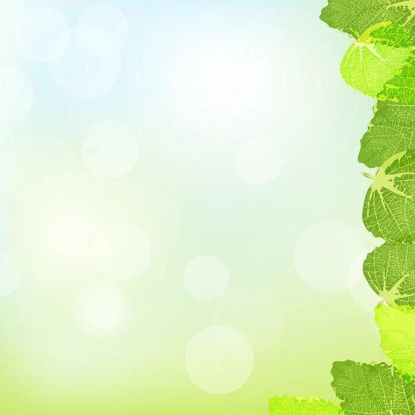 Green Leaves Frame — Stock Vector