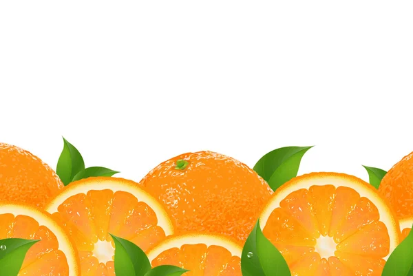 Rebanadas de la frontera naranja — Vector de stock
