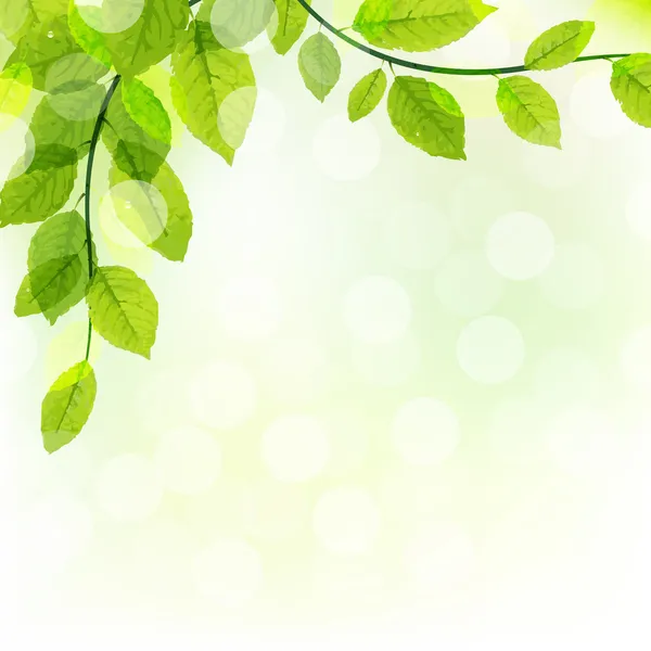 Zelené listy — Stockový vektor
