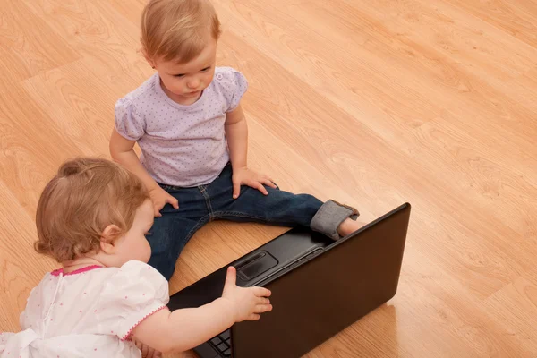 Toddlers studying laptop — Stock Photo, Image
