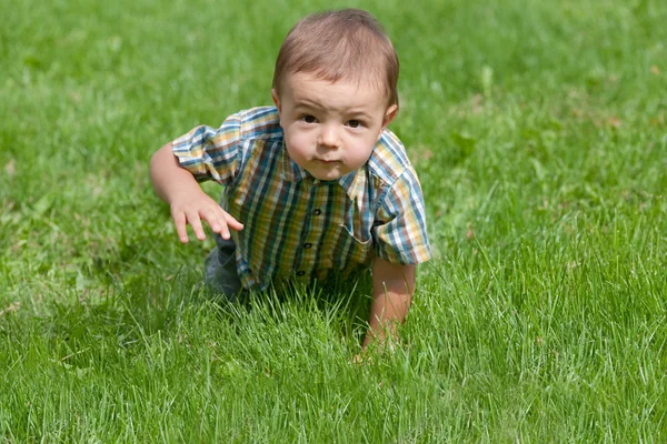 Criança rastejando na grama — Fotografia de Stock
