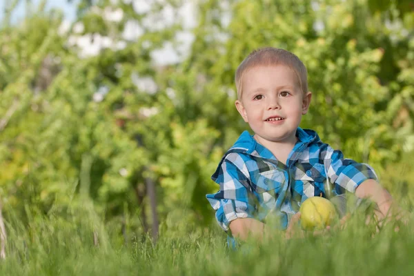 Vrolijke jongen in het gras met een apple — Stockfoto