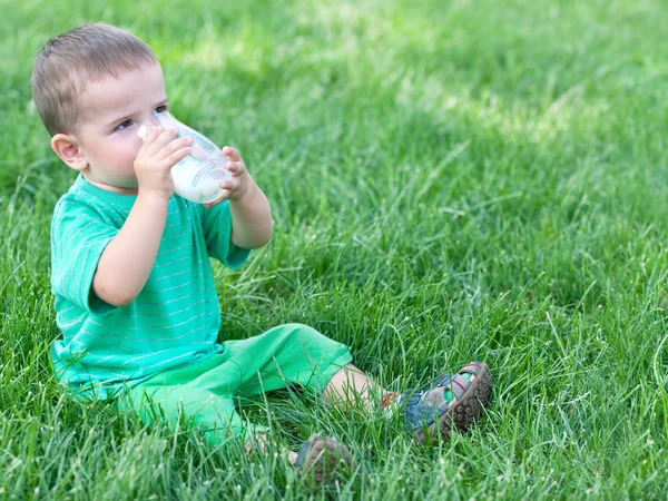 Питьевое молоко на траве — стоковое фото