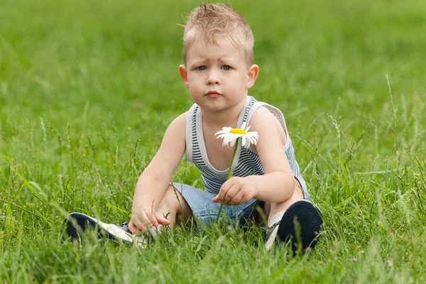 Задумчивый мальчик с ромашкой — стоковое фото