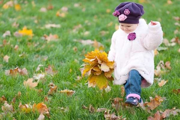 Småbarn gå på hösten ängen — Stockfoto