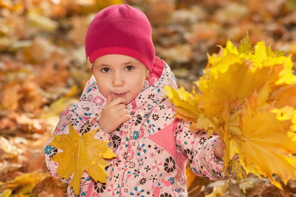 Söt liten flicka med höstlöv — Stockfoto