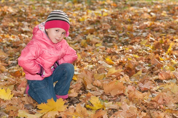 Pretty little girl in the autumn park — Stock Photo, Image