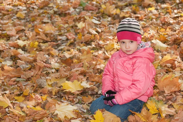 Allvarliga liten flicka i de gula blad — Stockfoto