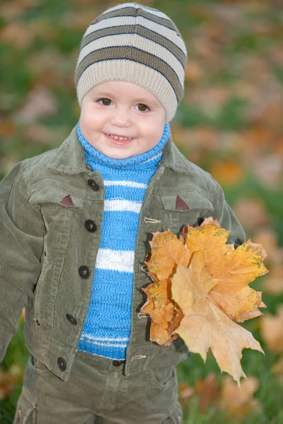 Little boy with yellow leaves — Stock Photo, Image