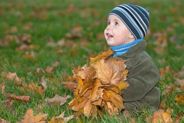 Little boy plays with yellow leaves — Stock Photo, Image