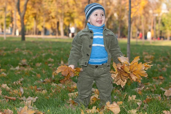Criança caminhando no parque de outono — Fotografia de Stock