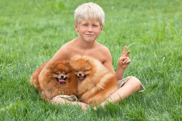 Sommerspaziergang mit zwei Hunden — Stockfoto