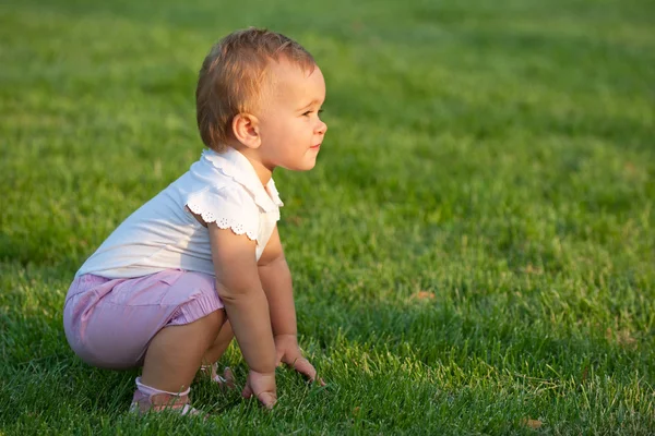 小さな女の子は牧草地を発見します。 — ストック写真