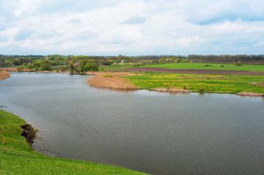 Ukrainian lake in May clipart