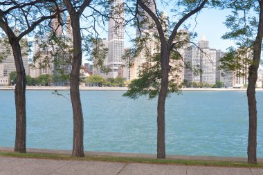 navy pier Chicago'dan şehir manzarası